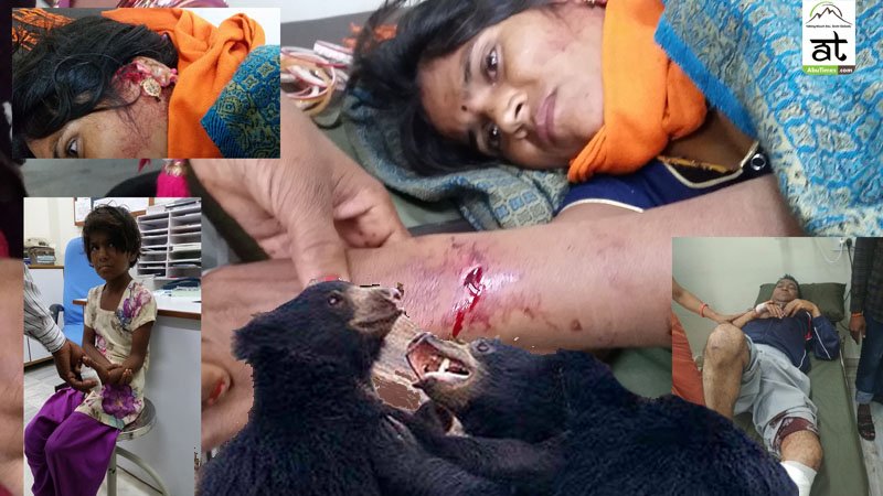 Bears attacked 3 people at one time including a 7 year girl in Mount Abu
