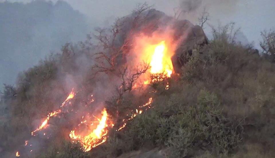 And once again Aravalli Ranges are burning, can this be stopped ?