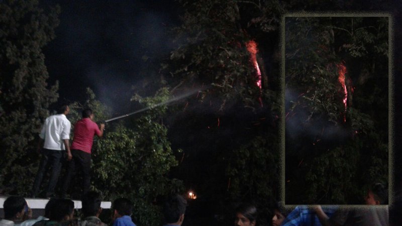 फिर लगी आग, इसबार जंगल नहीं देलवाडा जैन मंदिर के निकट एक पेड़ में लगी आग: माउंट आबू