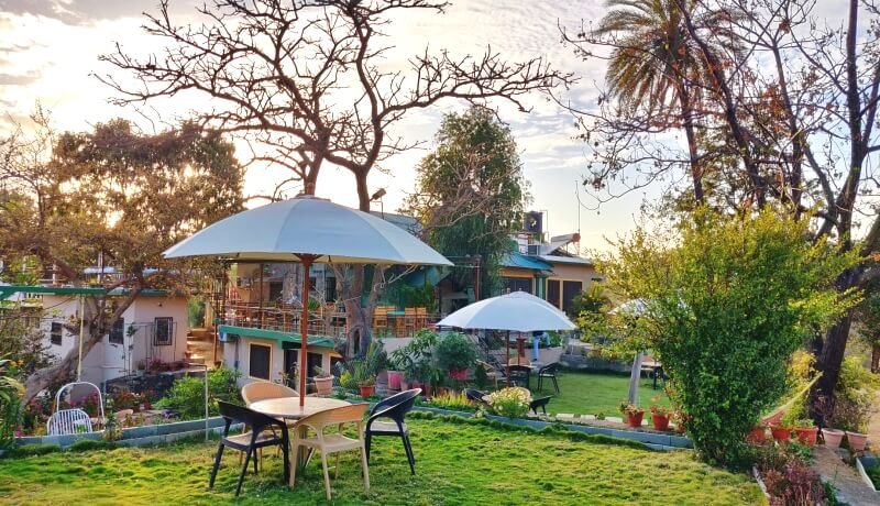 FOREST ECO LODGE