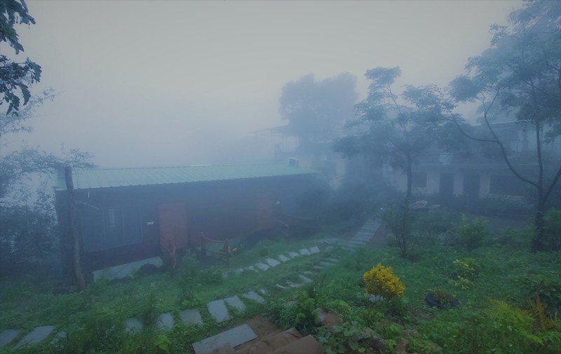 Best Place to Stay in Mount Abu during Monsoon: Forest Eco Lodge [BOOK NOW]