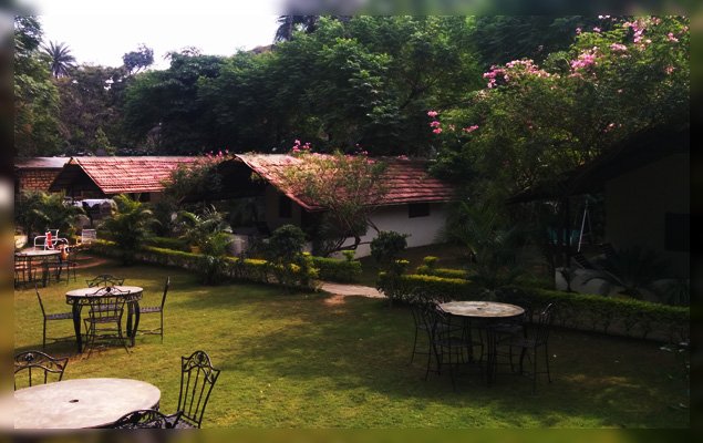 Plan your New Year Holidays in the mini Resort with exclusive Cottages in Mount Abu
