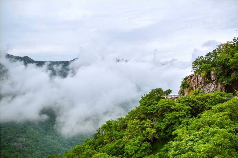 10 MOST LUSH GREEN PHOTOS OF MOUNT ABU