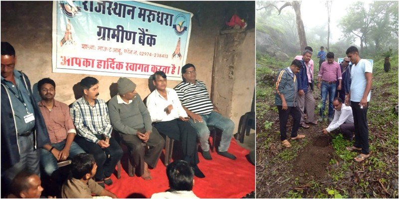राज. मरुधरा ग्रामीण बैंक द्वारा रात्रि चौपाल व वृक्षारोपण के कार्यक्रम आयोजित