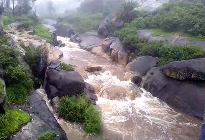 झुके पेड़, बढे भाव, डबल से भी ज्यादा किराया, वसूल रहे है टैक्सी चालक